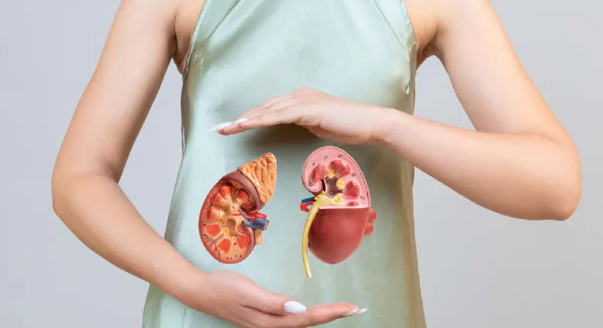 Elevating Your Kidney Health with Refreshing Beverages