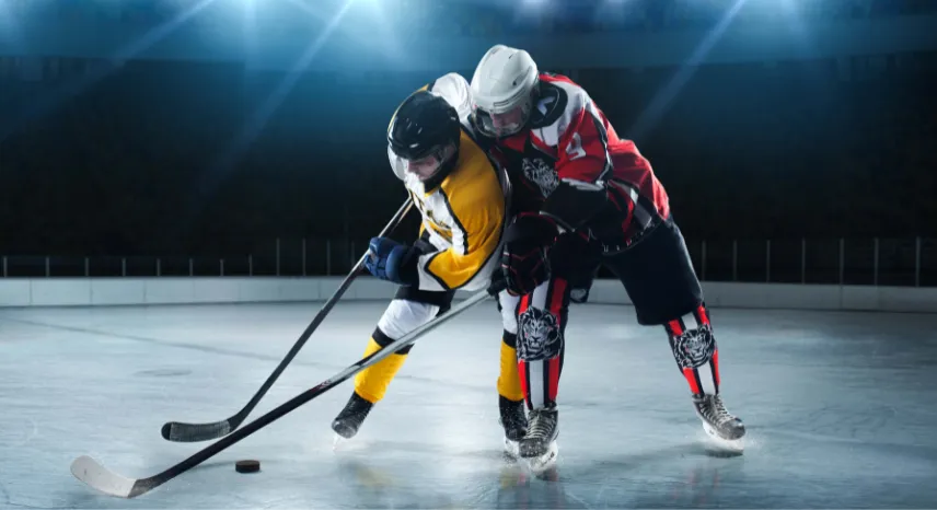 Dominate the Rink or Street with Pure Hockey Sticks